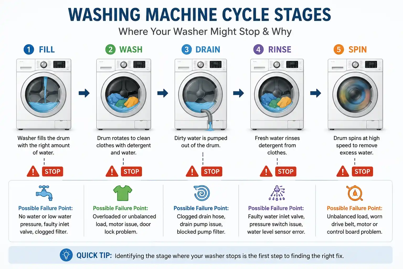 Washing machine cycle stages diagram showing fill wash rinse and spin process with stop points highlighted