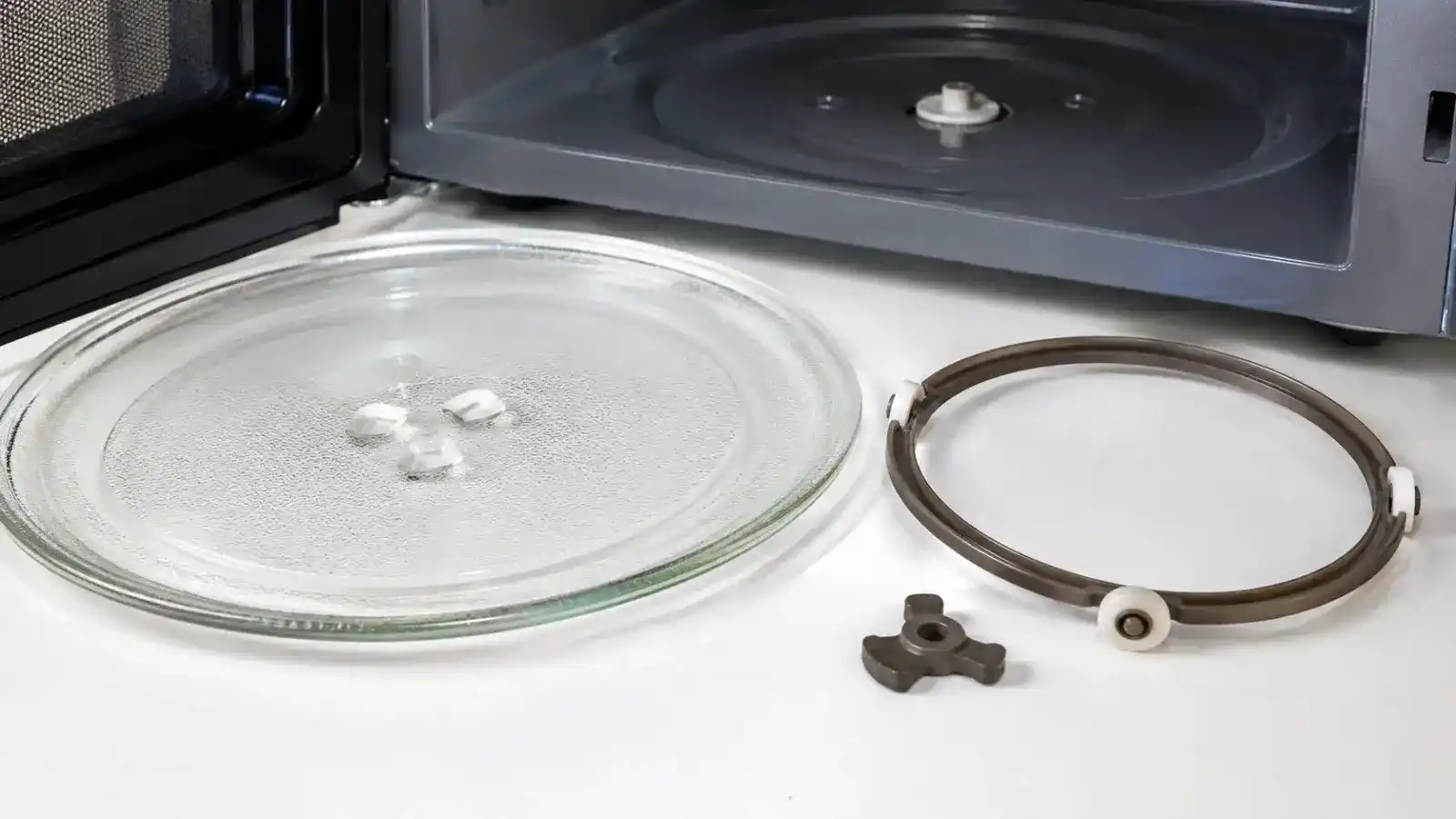 Inspecting a microwave turntable roller ring